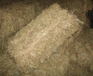 Conventional Hay Bale